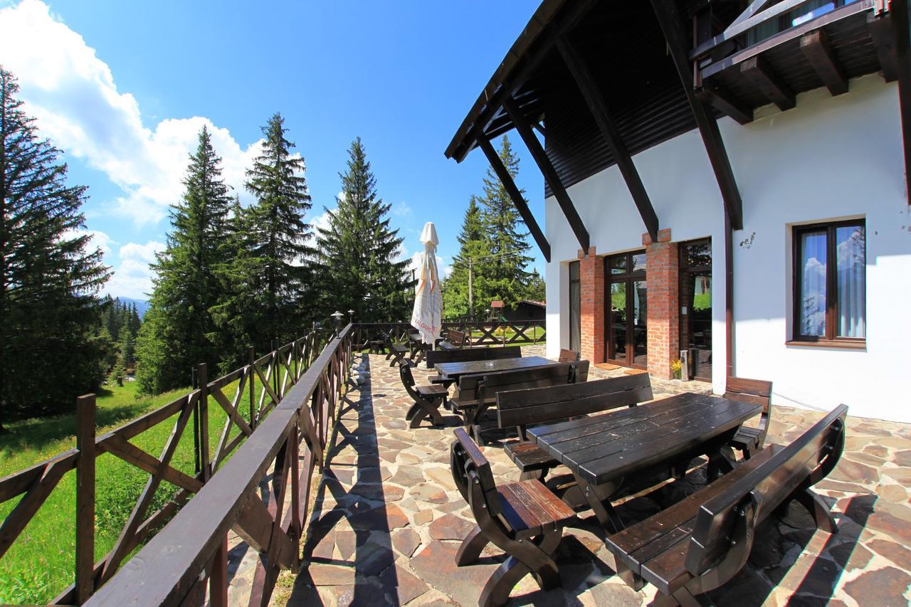 Pensiunea Rafael Păltiniş Exterior foto